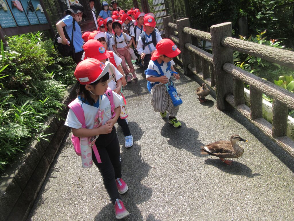 年長組☆動物博士、発見の一日☆～到津の森動物園に行ってきました～