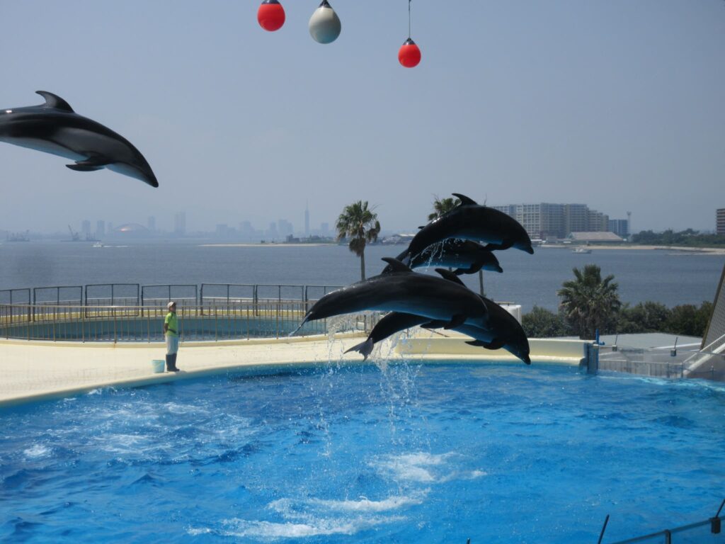 年中組　マリンワールドに行ってきました！🐬